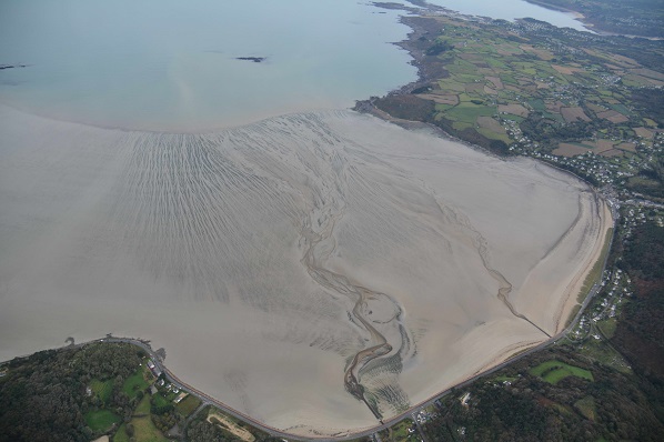 Saint-Michel-en-Grève (Côtes d’Armor), 16 octobre 2020 (c) CEVA Saint-Michel-en-Grève (Côtes d'Armor), 16 octobre 2020 (c) CEVA