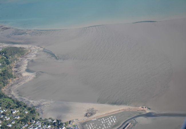 Baie de Saint-Brieuc – Binic-Etables-sur-mer. Octobre 2020. ©CEVA Baie de Saint-Brieuc - Binic-Etables-sur-mer. Octobre 2020. ©CEVA